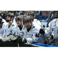 Edmonton Rush Bench