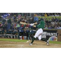 Madison Mallards at the Plate
