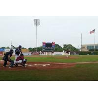 Trevor Walch on the Mound for the Erie Otters