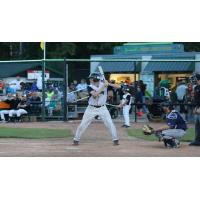 Green Bay Bullfrogs Batting