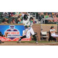 Madison Mallards Batting