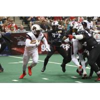 Orlando Predators WR Brandon Thompkins