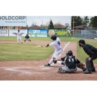 Carter McEachern of the Thunder Bay Border Cats at the Plate