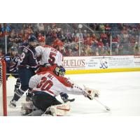 Allen Americans Goaltender Warren Gill vs. the South Carolina Stingrays