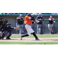 Reegie Corona at Bat for the Long Island Ducks