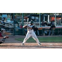 Franco Guardascione of the Green Bay Bullfrogs