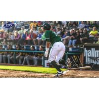 Madison Mallards in Action