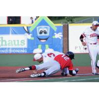 Florence Freedom vs. Lake Erie Crushers