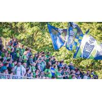 Seattle Sounders FC 2 Fans