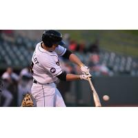 Delmarva Shorebirds at the Plate