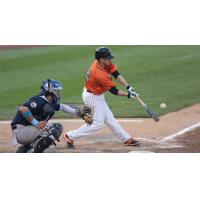 Dan Lyons of the Long Island Ducks