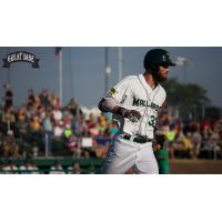 Madison Mallards Round the Bases