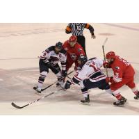 Allen Americans vs. South Carolina Stingrays