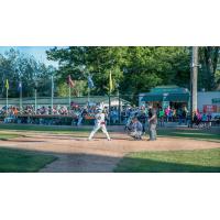 Ty Blankmeyer of the Green Bay Bullfrogs