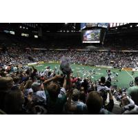 Edmonton Rush Fans