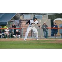 Former Green Bay Bullfrog Matt Beaty