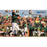 Madison Mallards at Bat