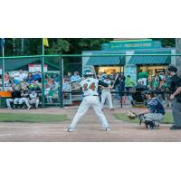 Paul Jacobson of the Green Bay Bullfrogs