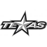 Texas Stars Primary Logo in Silver