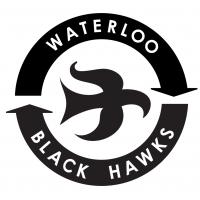 Waterloo Black Hawks Logo