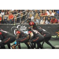 Orlando Predators Quarterback Bernard Morris