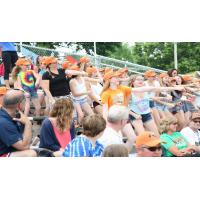 Green Bay Bullfrogs Fans