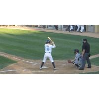 Michael Strem of the St. Cloud Rox