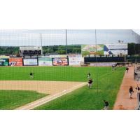 Green Bay Bullfrogs at Wausau