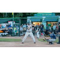 Tyler McDowell of the Green Bay Bullfrogs