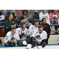 Florida Everblades in Action