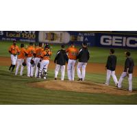 Long Island Ducks Give High Fives