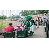 Fun at a Green Bay Bullfrogs Game