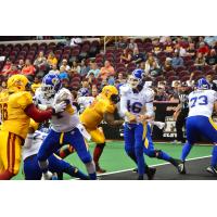 Tampa Bay Storm Quarterback Jason Boltus in the Pocket against Cleveland
