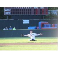 Pittsfield Suns in the Field