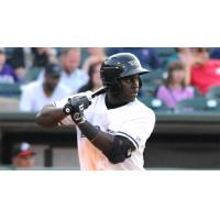 Jermaine Curtis of the Louisville Bats