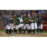Madison Mallards Mob Collin Theroux after Walkoff Homer
