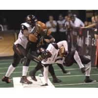 Orlando Predators vs. Arizona Rattlers