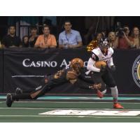 Orlando Predators vs. Arizona Rattlers