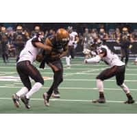 Orlando Predators vs. Arizona Rattlers