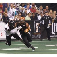 Arizona Rattlers vs. Orlando Predators