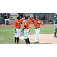 Long Island Ducks Celebrate Dan Lyons' Home Run