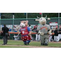 Green Bay Bullfrogs Kids' Day