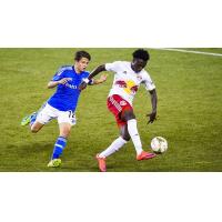 New York Red Bulls II in Action