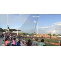 Lexington County Baseball Stadium, Home of the Lexington County Blowfish
