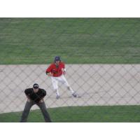 Kelowna Falcons on the Basepaths