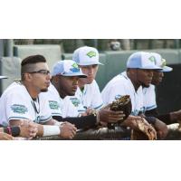 Daytona Tortugas on the Bench