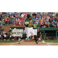 Madison Mallards at the Plate