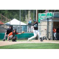 Former Rochester Honker Jeff Campbell