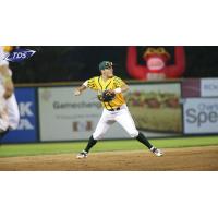 Madison Mallards in the Field