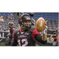 Orlando Predators QB Randy Hippeard